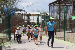 CULMINA CAMPAMENTO DE VERANO &ldquo;JURASSIC CAMP&rdquo; PARA MENORES