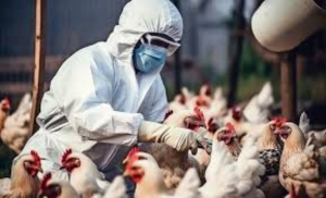 Estados Unidos confirma primer caso grave de gripe aviar en humanos