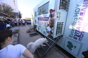 ARRANCA SEXTA CAMPAÑA MUNICIPAL DE ESTERILIZACIÓN GRATUITA