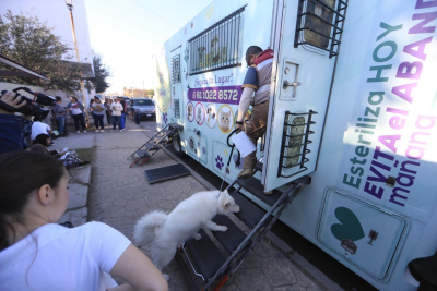 ARRANCA SEXTA CAMPA&Ntilde;A MUNICIPAL DE ESTERILIZACI&Oacute;N GRATUITA