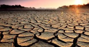 &ldquo;Pega&rdquo; sequ&iacute;a a 10 mil personas en el altiplano