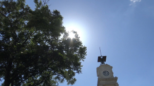 VIDEO Continúan con programa de reforestaciones en Nuevo Laredo