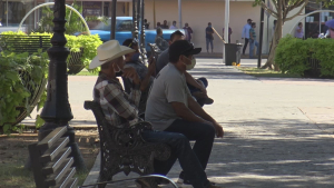VIDEO Vienen las altas temperaturas se deben proteger a niños y los trabajadores de intemperie