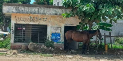 Dar&aacute;n 10 m&oacute;dulos de la Guardia Nacional en Altamira