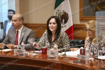 DENUNCIA CARMEN LILIA CANTUROSAS PERSECUCI&Oacute;N POL&Iacute;TICA ENCABEZADA POR GOBERNADOR