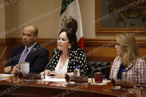 AUMENTAN INGRESOS DE COMERCIO INFORMAL Y TRANSFORMAN CALLES DE NLD