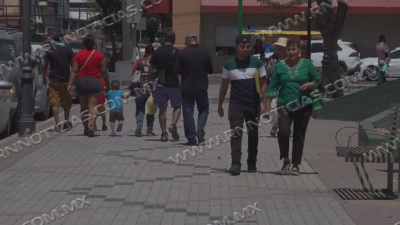 Exhortan a proteger heridas en personas y mascotas para prevenir el gusano barrenador