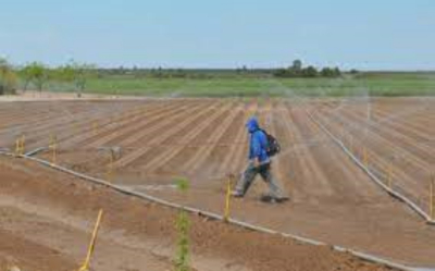 Falta de agua &ldquo;pone de nervios&rdquo; a los Productores del Distrito 050