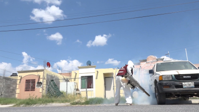 VIDEO Realiza municipio fumigaci&oacute;n para combatir el mosquito del dengue