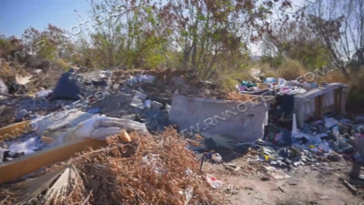 Piden autoridades cuidar medio ambiente ante efectos del cambio clim&aacute;tico