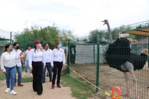 TRABAJARÁ GOBIERNO MUNICIPAL POR UN MEJOR ZOOLÓGICO