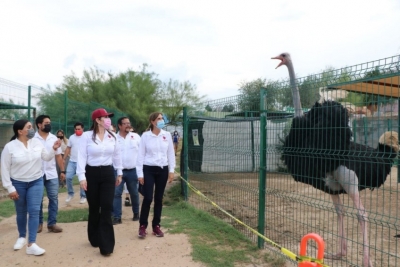 TRABAJAR&Aacute; GOBIERNO MUNICIPAL POR UN MEJOR ZOOL&Oacute;GICO