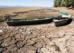 Tres cuartas partes del territorio mexicano sufren sequía