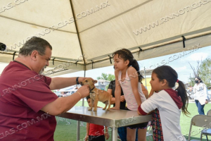 Realizan brigada de Salud Animal en la colonia Voluntad y Trabajo 3