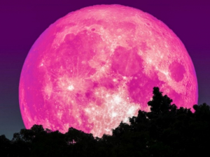 Prep&aacute;rate, ya se acerca la S&uacute;per Luna de Fresa, ser&aacute; la m&aacute;s grande y colorida del a&ntilde;o