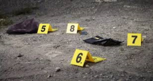 Violencia en M&eacute;xico: Asesinan a 197 personas durante el fin de semana