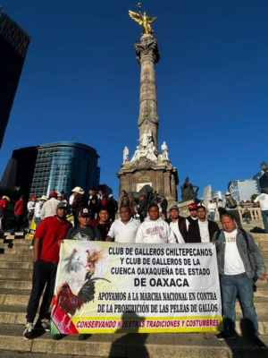 Marchan a favor de peleas de gallos; aseguran que es una tradici&oacute;n