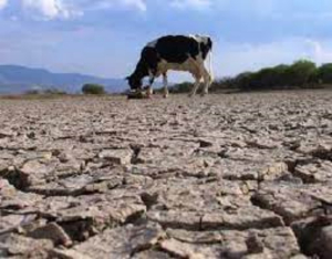 Afecta sequ&iacute;a a la zona sur de Tamaulipas