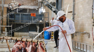 REALIZAN MANTENIMIENTO&nbsp;AL RASTRO PARA FORTALECER ACTIVIDAD GANADERA LOCAL