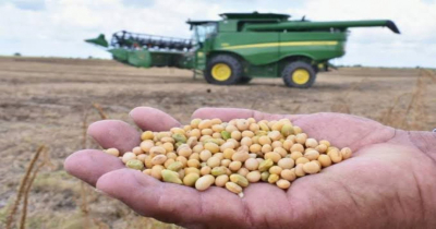 Con crédito darán ‘mejoralito’ a agricultores