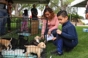 SE UNEN GOBIERNO MUNICIPAL Y GRUPOS RESCATISTAS PARA LLEVAR A CABO FERIA DE ADOPCI&Oacute;N
