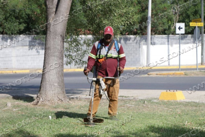 GOBIERNO MUNICIPAL CAMBIA IMAGEN DE NUEVO LAREDO CON MEGA CUADRILLA DE SERVICIOS P&Uacute;BLICOS