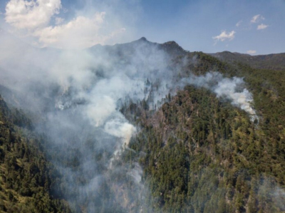 Cuatro municipios son focos rojos por incendios