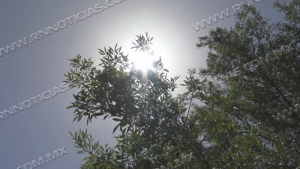 Can&iacute;cula eleva temperatura para Nuevo Laredo en m&aacute;s de 43 grados