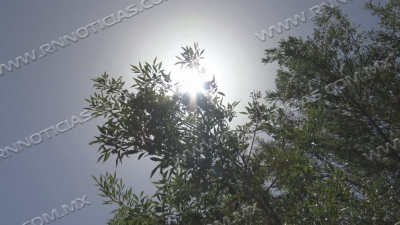 Can&iacute;cula eleva temperatura para Nuevo Laredo en m&aacute;s de 43 grados