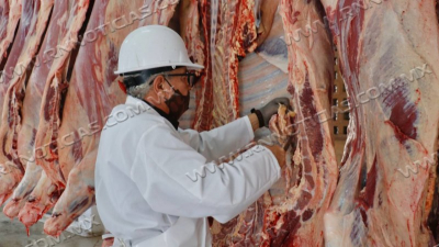 SE FORTALECE LA CAMPA&Ntilde;A DE CONSUMO DE CARNE LOCAL