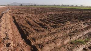 Situaci&oacute;n cr&iacute;tica; no habr&aacute; agua para riego