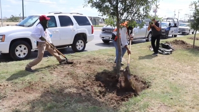VIDEO Contin&uacute;a medio ambiente con reforestaciones la ciudad