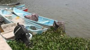 Pesca en Champay&aacute;n tardar&aacute; dos meses en recuperarse