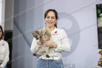 PRESENTA ALCALDESA CARMEN LILIA CANTUROSAS A &ldquo;STORMY&rdquo;; LA PRIMER PUMA NACIDA EN EL ZOOL&Oacute;GICO DE NUEVO LAREDO