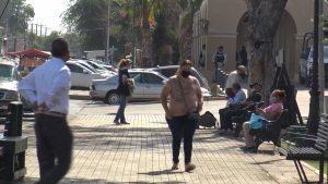 VIDEO Piden expertos cuidar su salud mental