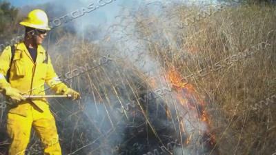 Can&iacute;cula aumenta incendios en zacatales