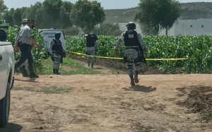 Avioneta se desploma en Quer&eacute;taro; reportan al menos dos muertos