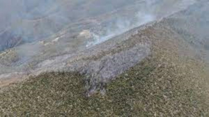 Activar&aacute; Miquihuana una brigada rural para combatir incendios
