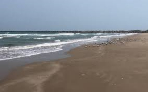Retirar&aacute;n mangle para acceso a nueva playa de Altamira