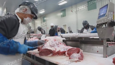 Campa&ntilde;a de &ldquo;Consumo de carne local&rdquo; con resultado positivos