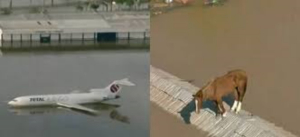 Im&aacute;genes apocal&iacute;pticas en Brasil: Caballos atrapados en los techos y aviones como barcos