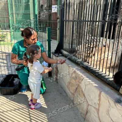 AMPLIAR&Aacute;N HORARIOS DE ZOOL&Oacute;GICO DE NUEVO LAREDO POR SEMANA SANTA