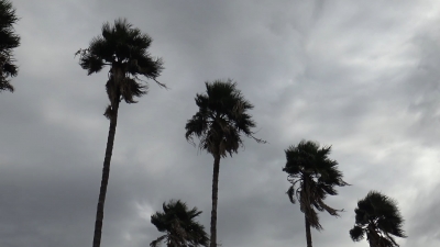 VIDEO Temporada de oto&ntilde;o y frentes fr&iacute;os aumentaran influenza y covid