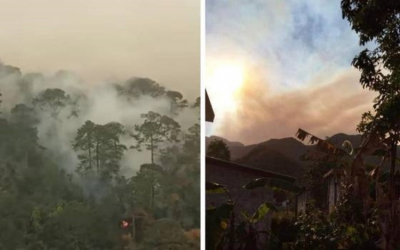 Incendio en "El Cielo" est&aacute; controlado al 55 por ciento: gobierno de Tamaulipas