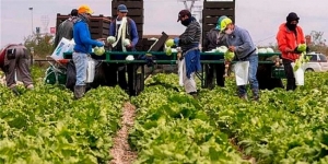 Sobreviven zona ejidal con remesas