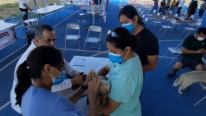 VIDEO Cuidan de salud de mascotas en Brigadas caninas