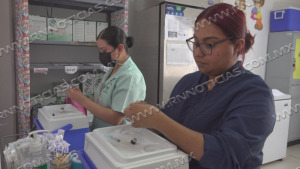 &nbsp;Refuerzan acciones de vigilancia sanitaria por tosferina y Sarampi&oacute;n