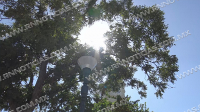 Sequ&iacute;a y calor podr&iacute;an traer proliferaci&oacute;n de garrapatas y pulgas