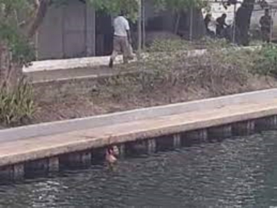 Habr&aacute; C&aacute;rcel para Quien se Meta a Nadar a la laguna del carpintero