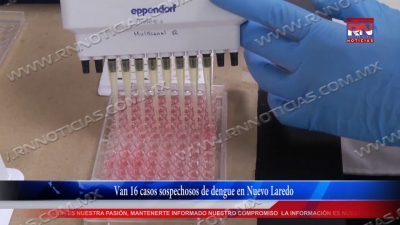 VIDEO Van 16 casos sospechosos de dengue en Nuevo Laredo